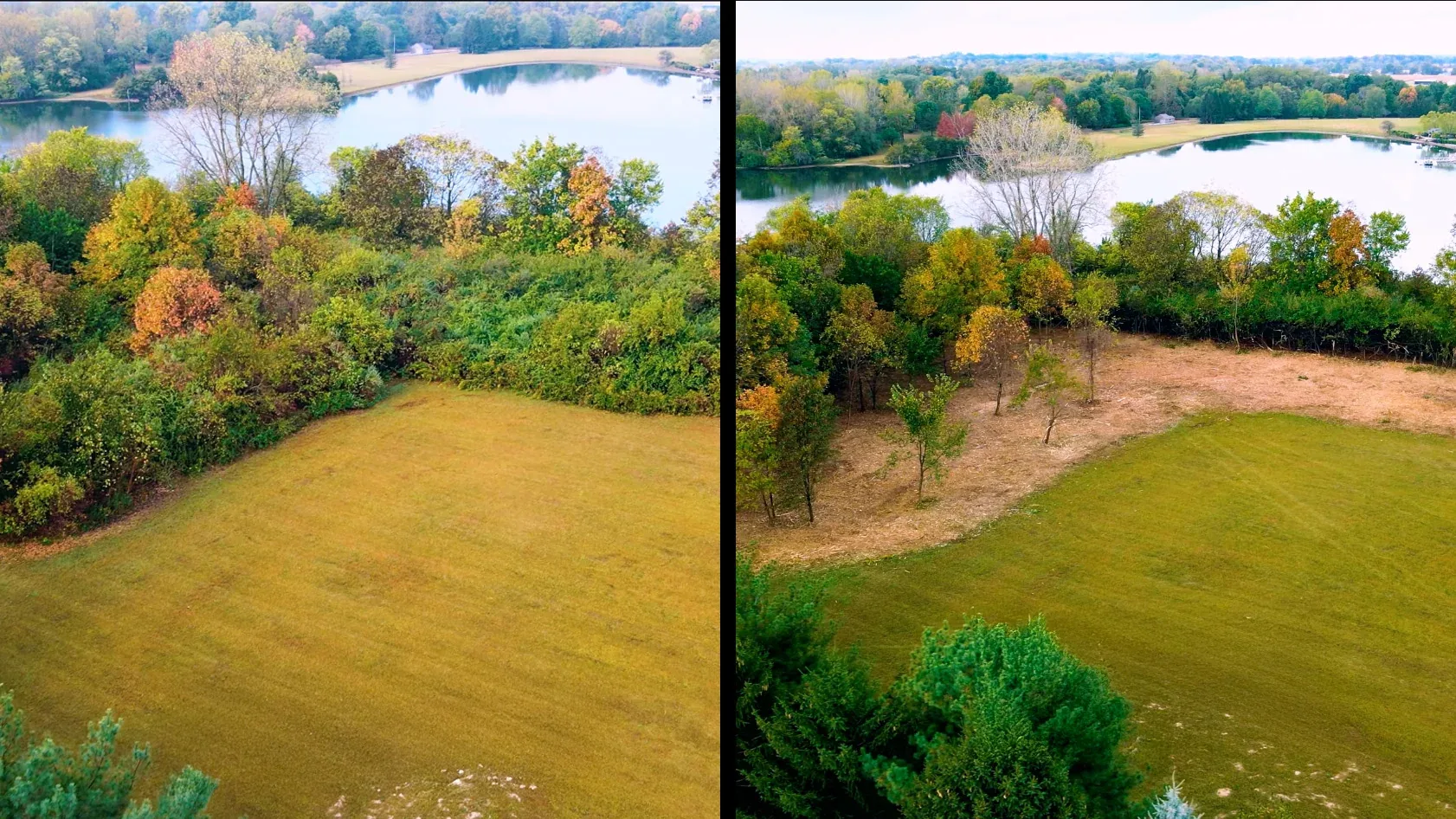 Before and after forestry mulching in Clermont County