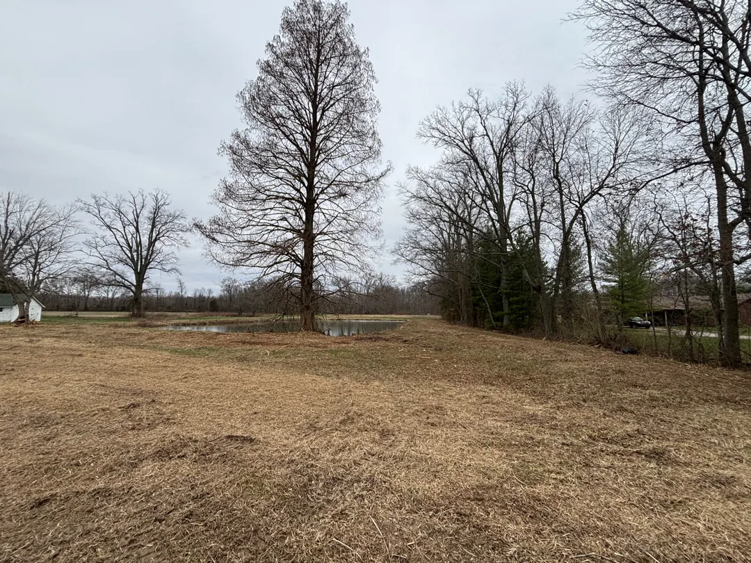 Pond & Treeline Clearing after clearing by Brushworks