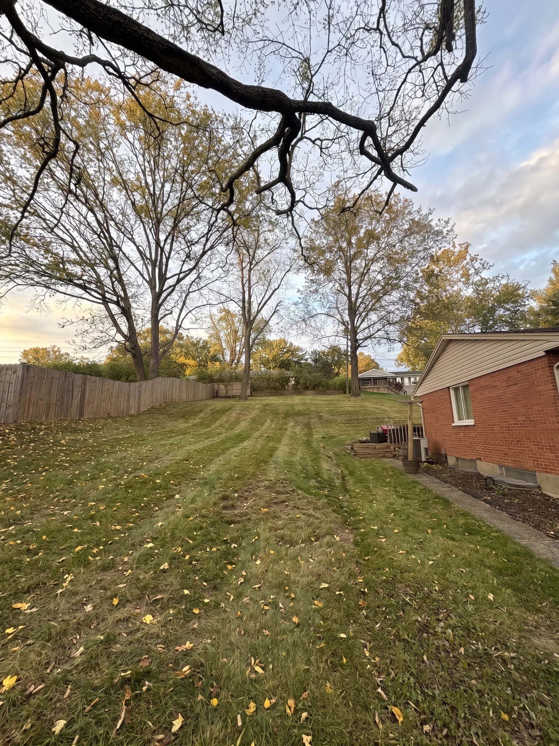RCU Forestry Mulching maintained by Brushworks