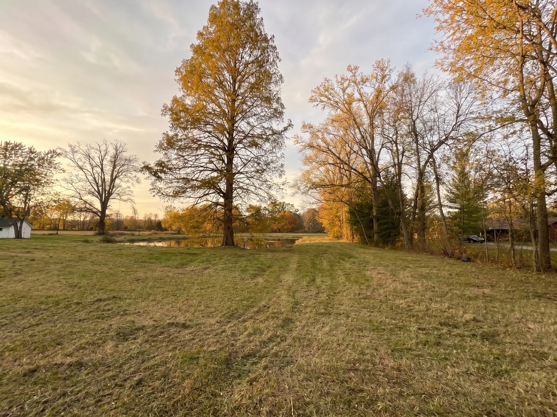 Pond & Treeline Clearing maintained by Brushworks