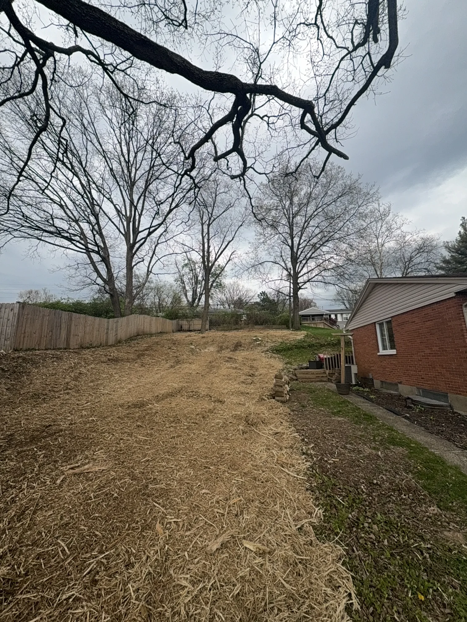 RCU Forestry Mulching after clearing by Brushworks