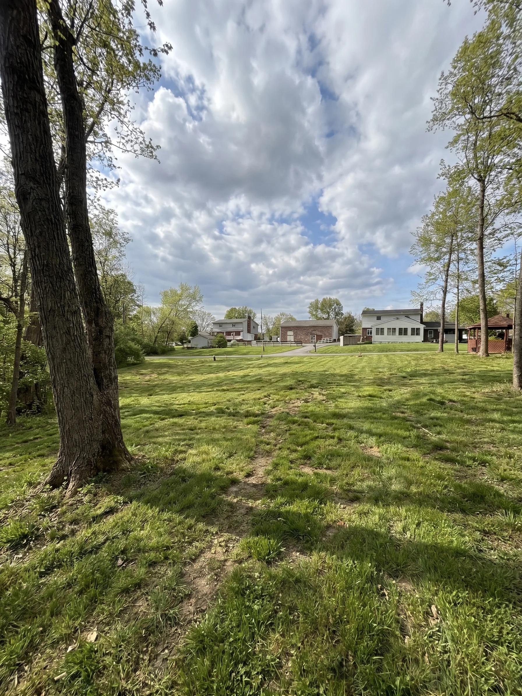 Back Yard Cleanup maintained by Brushworks
