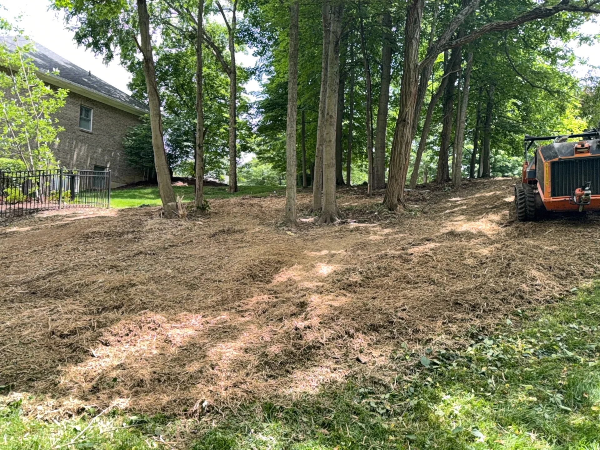 Slope Cleanup after clearing by Brushworks
