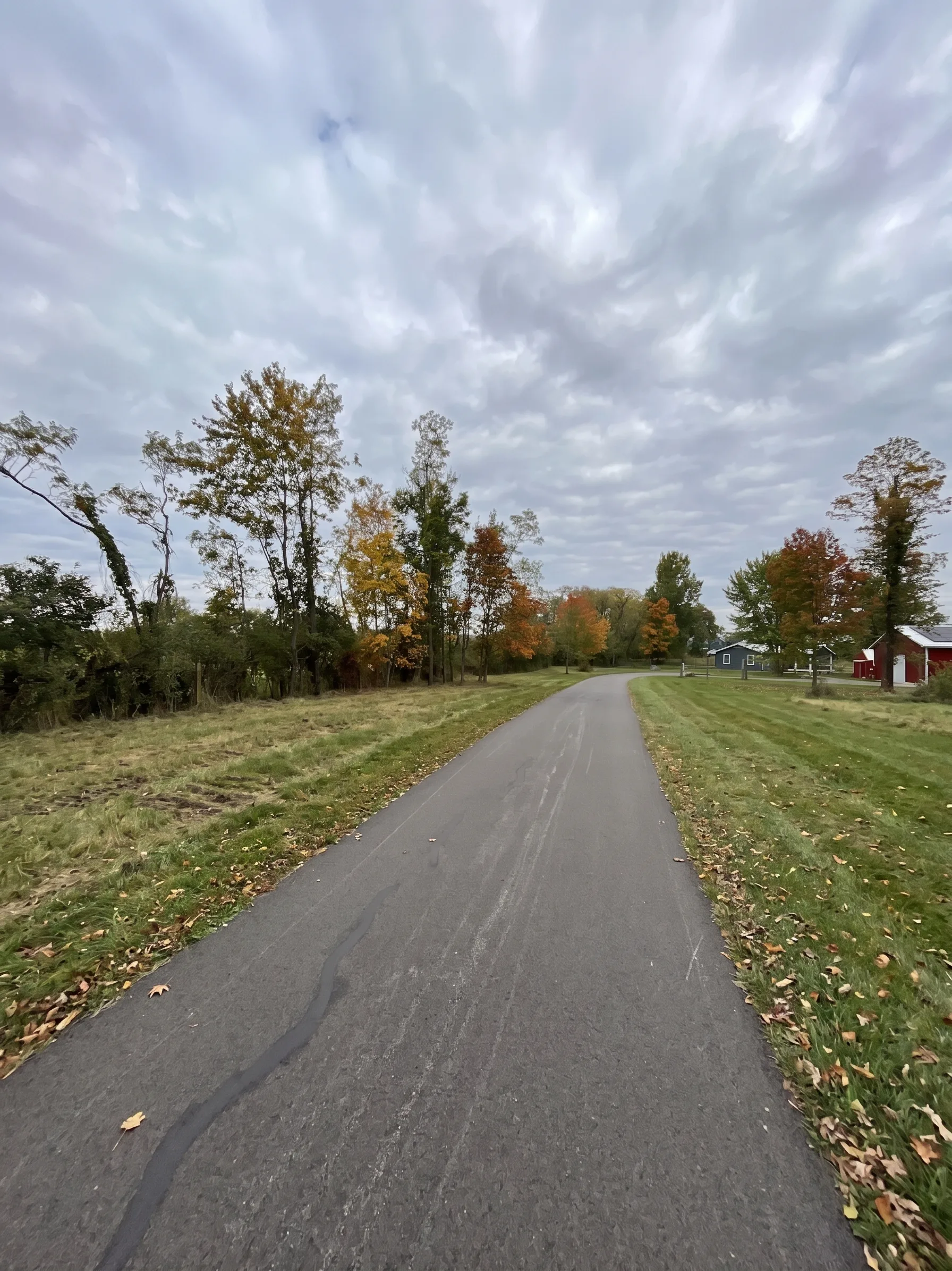 Land Clearing Cleanup maintained by Brushworks