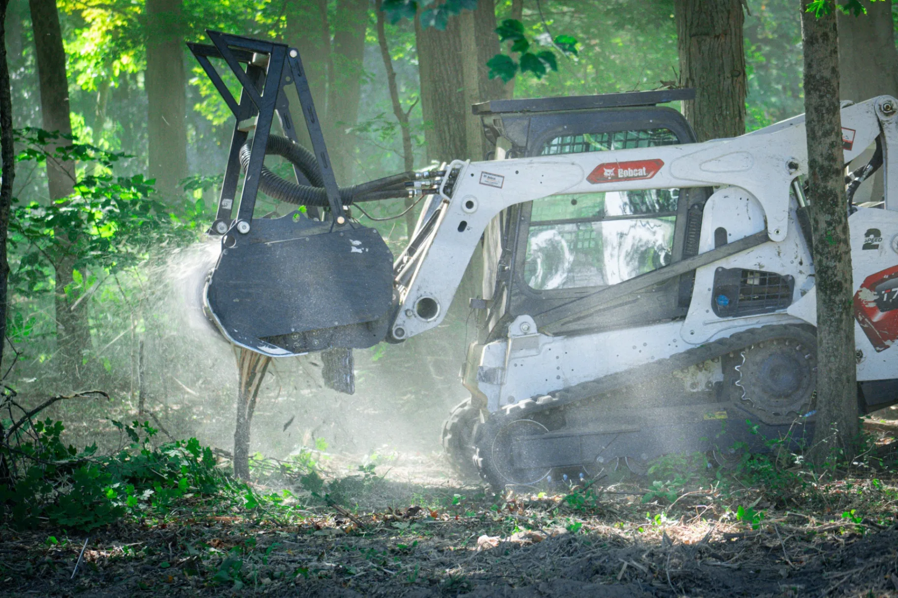 Forestry mulcher clearing overgrown land in Greater Cincinnati