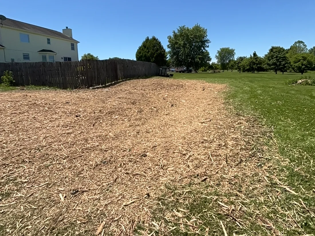 Backyard fence line right after forestry mulching, covered in a solid layer of fresh mulch