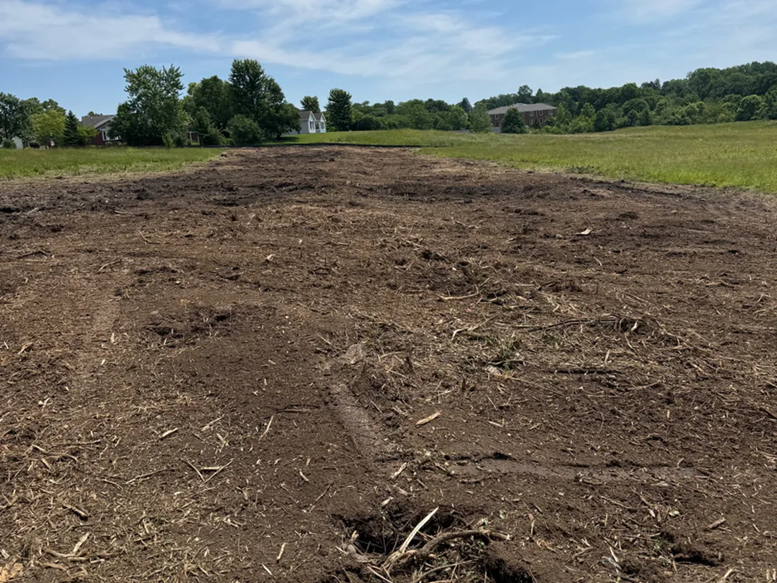 Open ground right after forestry mulching, mostly bare soil with a light scatter of mulch