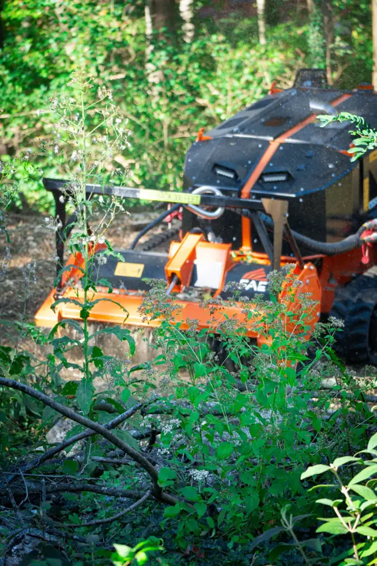 FAE RCU 55 remote mulcher working a wooded slope