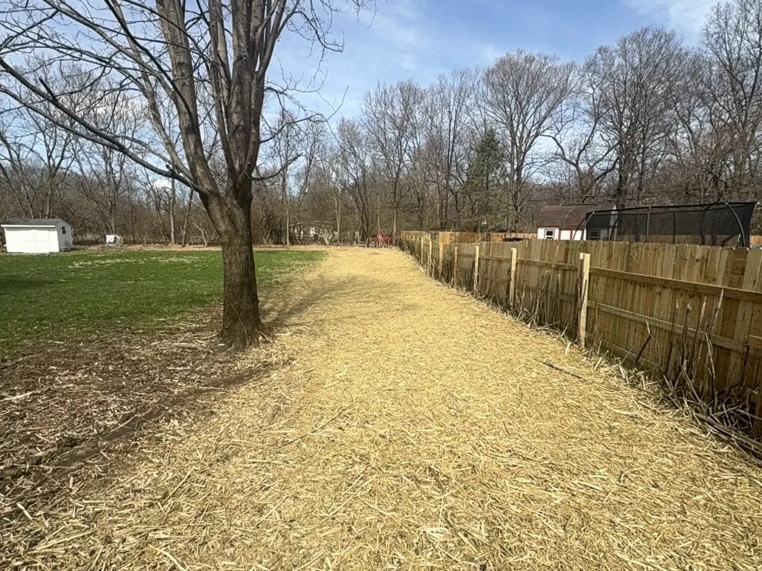 Fence line right after mulching, covered in a heavier layer of mulch