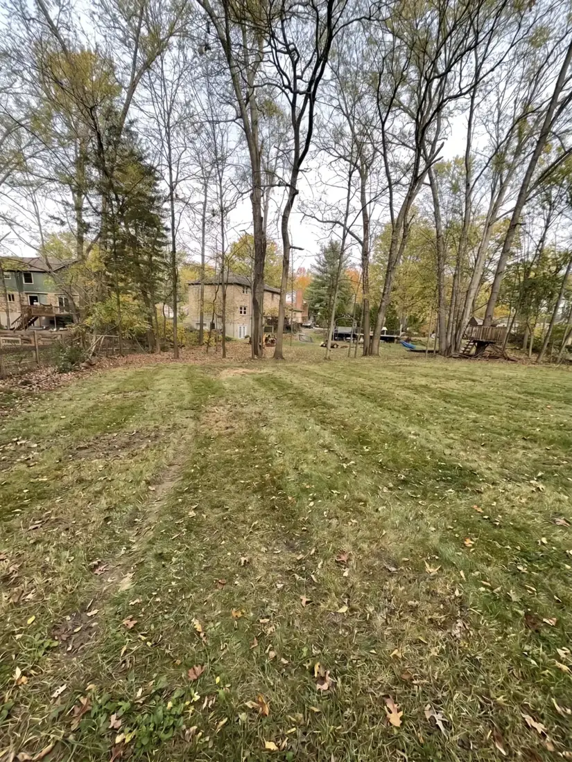Illustration, AI-edited from the after photo: the cleared lot with grass grown back under the trees