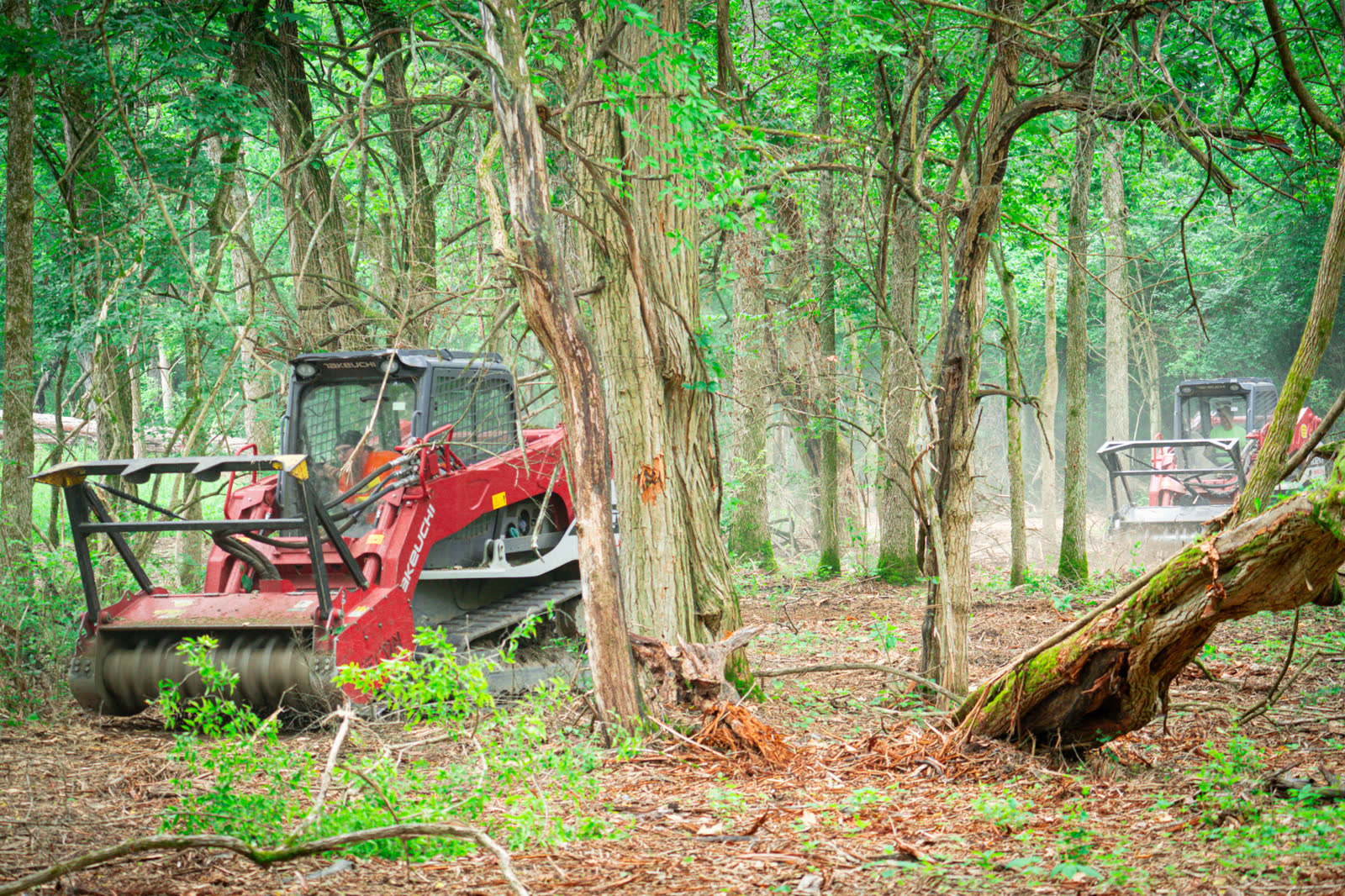 Takeuchi TL12 track loader with a Fecon mulching head clearing brush in the woods