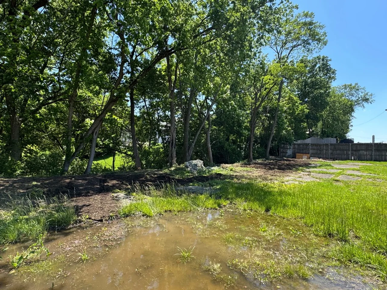 Opened wooded edge next to a paved area at the same Cincinnati property