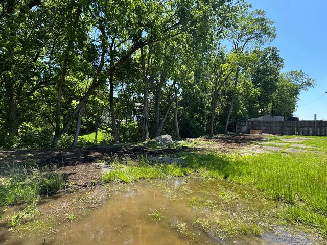 Opened wooded edge next to a paved area at the same Cincinnati property