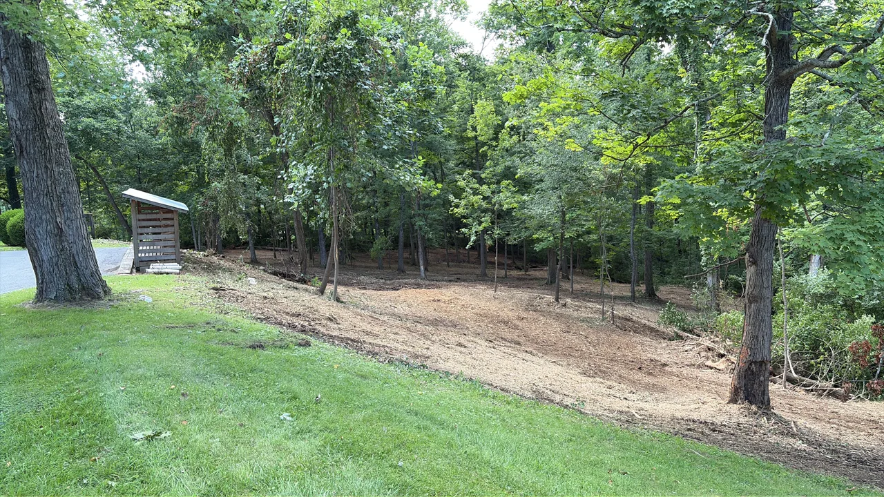 Opened wooded edge and mulched ground beside a Cincinnati lawn