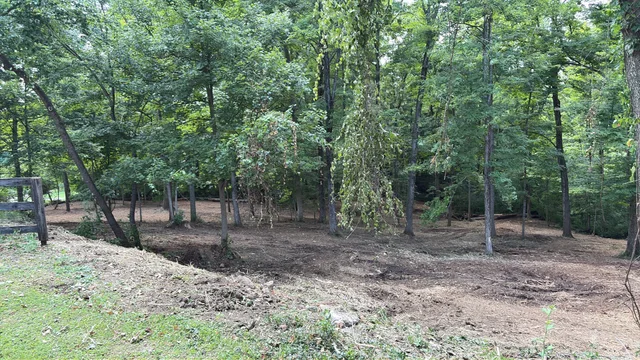 Mulched hillside beneath standing mature trees in Cincinnati