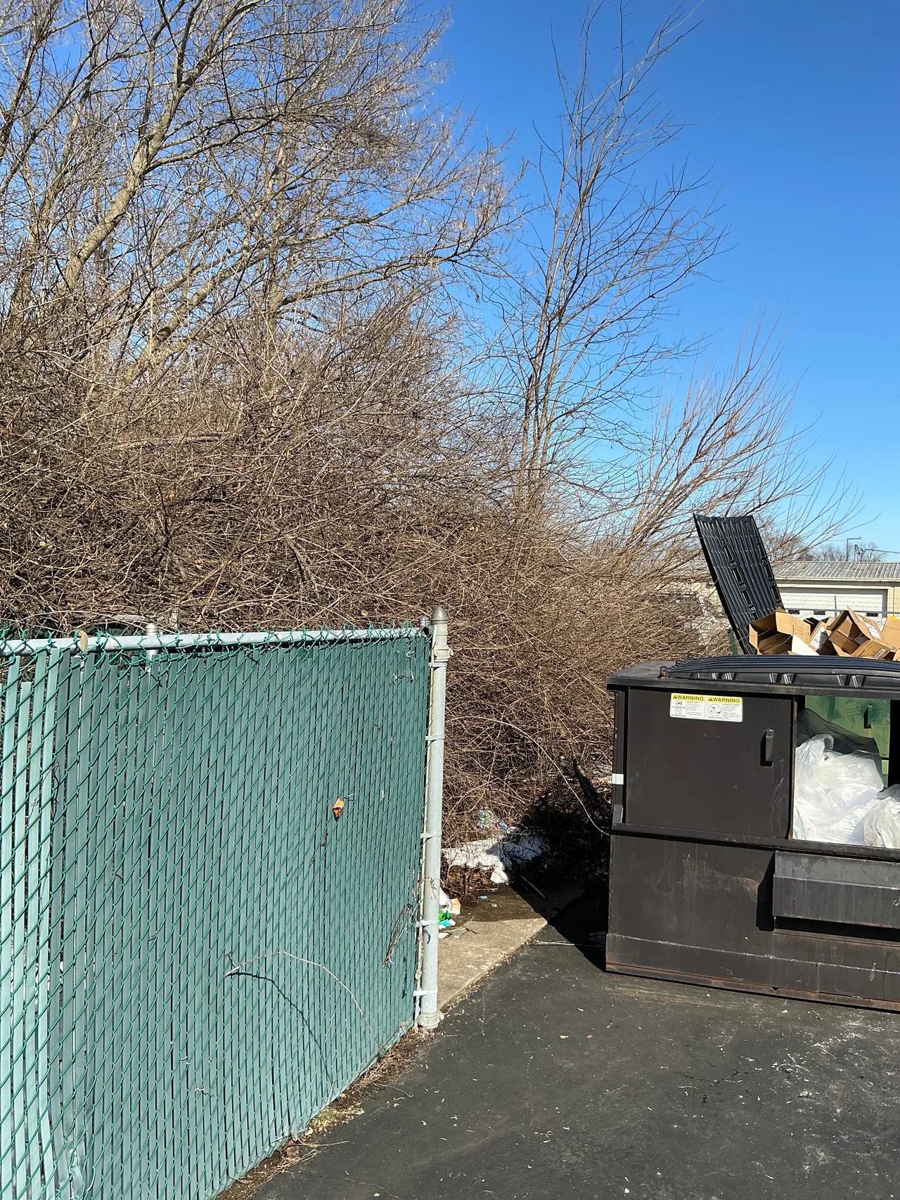 Brush crowding a fenced dumpster enclosure at a Fairfield commercial property