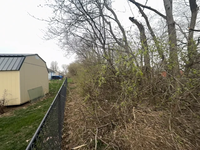 Dense vegetation along a fence beside a shed in Florence Kentucky