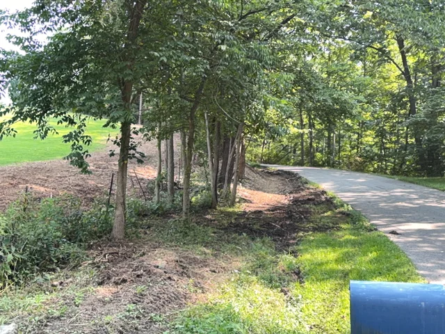 Cleared wooded edge beside the driveway at the same Loveland project