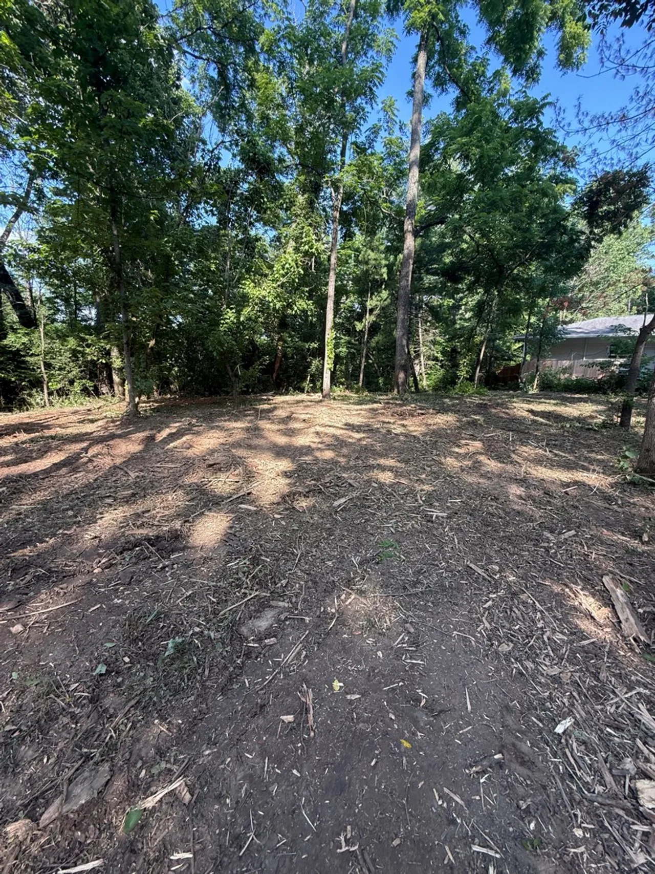 Cleared wooded edge with mulch on the ground in Spring Valley