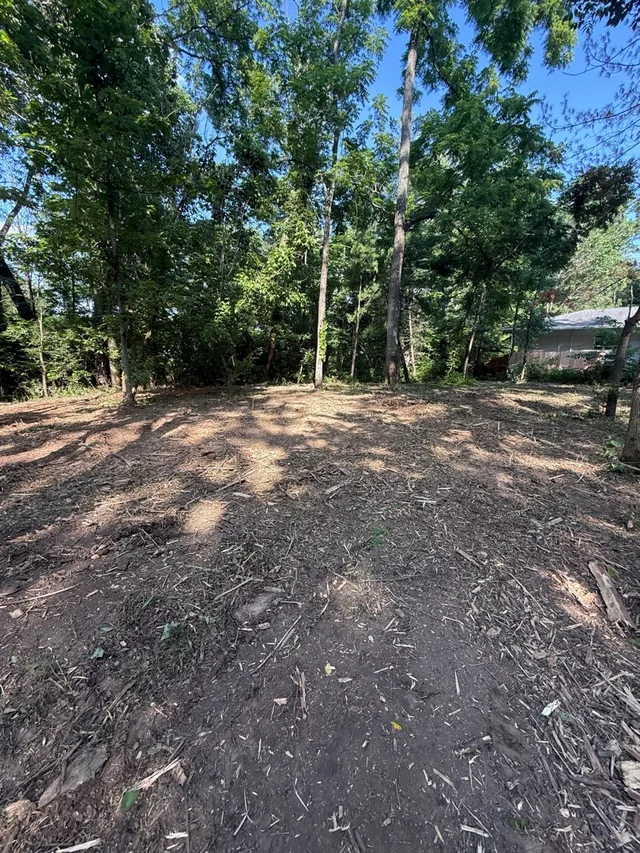 Cleared wooded edge with mulch on the ground in Spring Valley