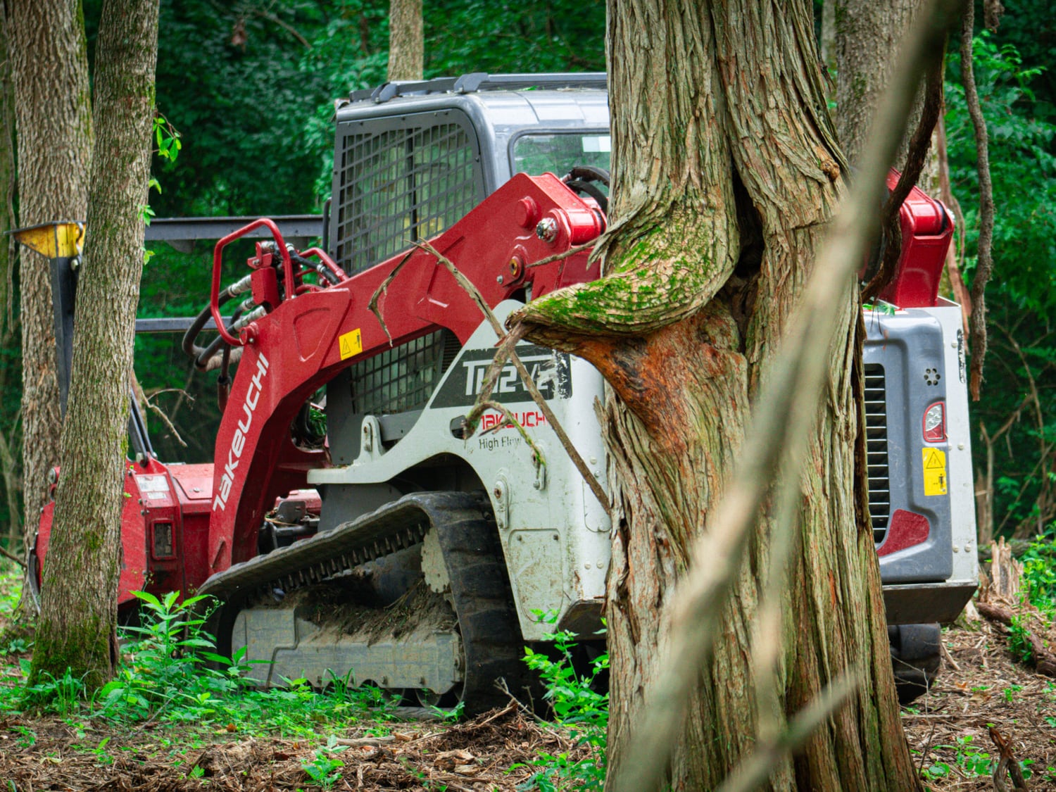 Real Takeuchi TL12 clearing near a tight wooded edge