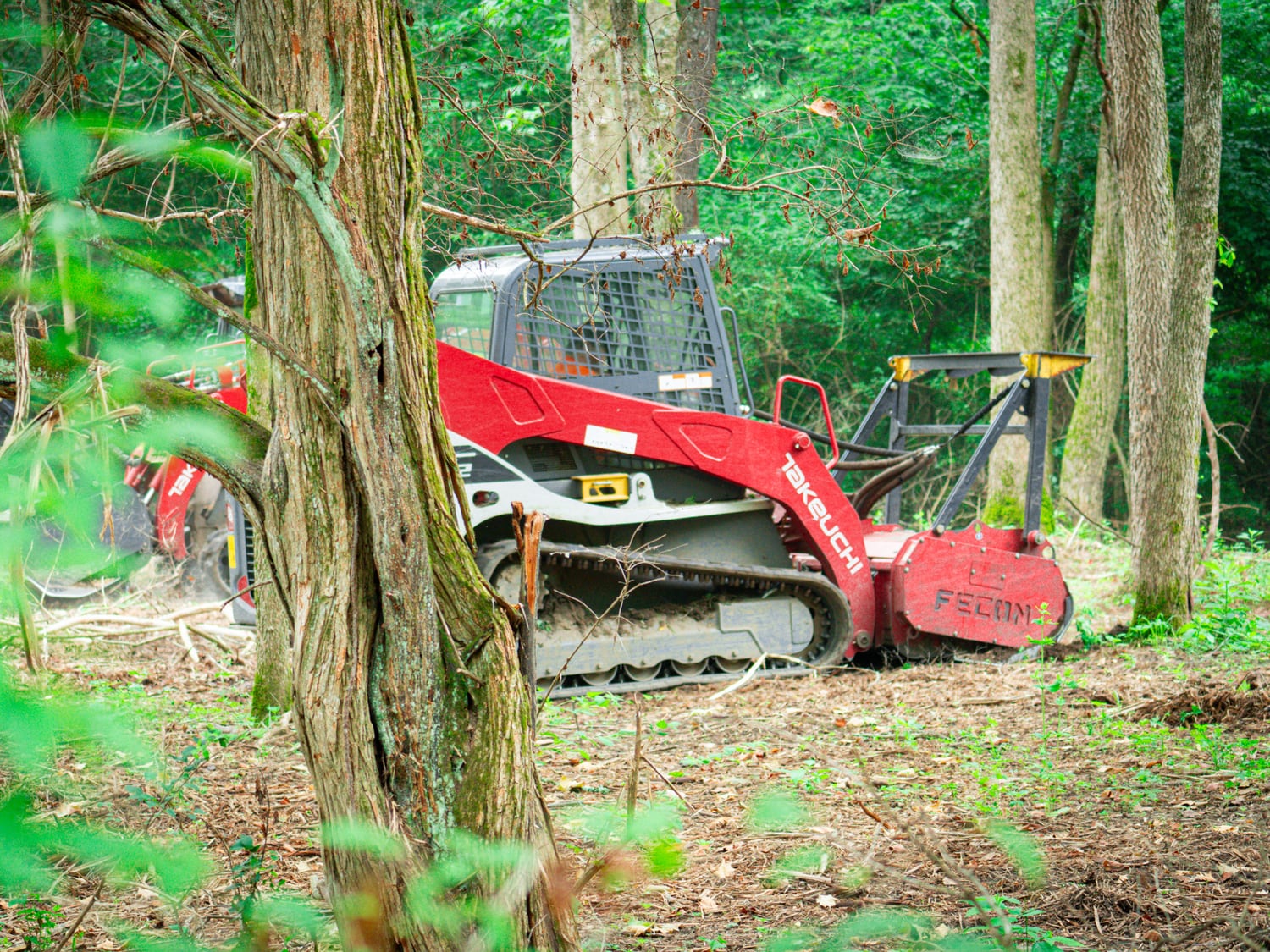 Real Takeuchi TL12 clearing vine-heavy invasive growth