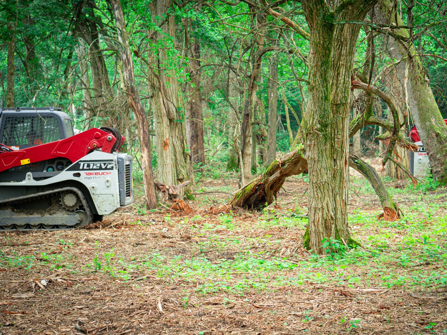 Real Takeuchi TL12 working along a wooded property edge