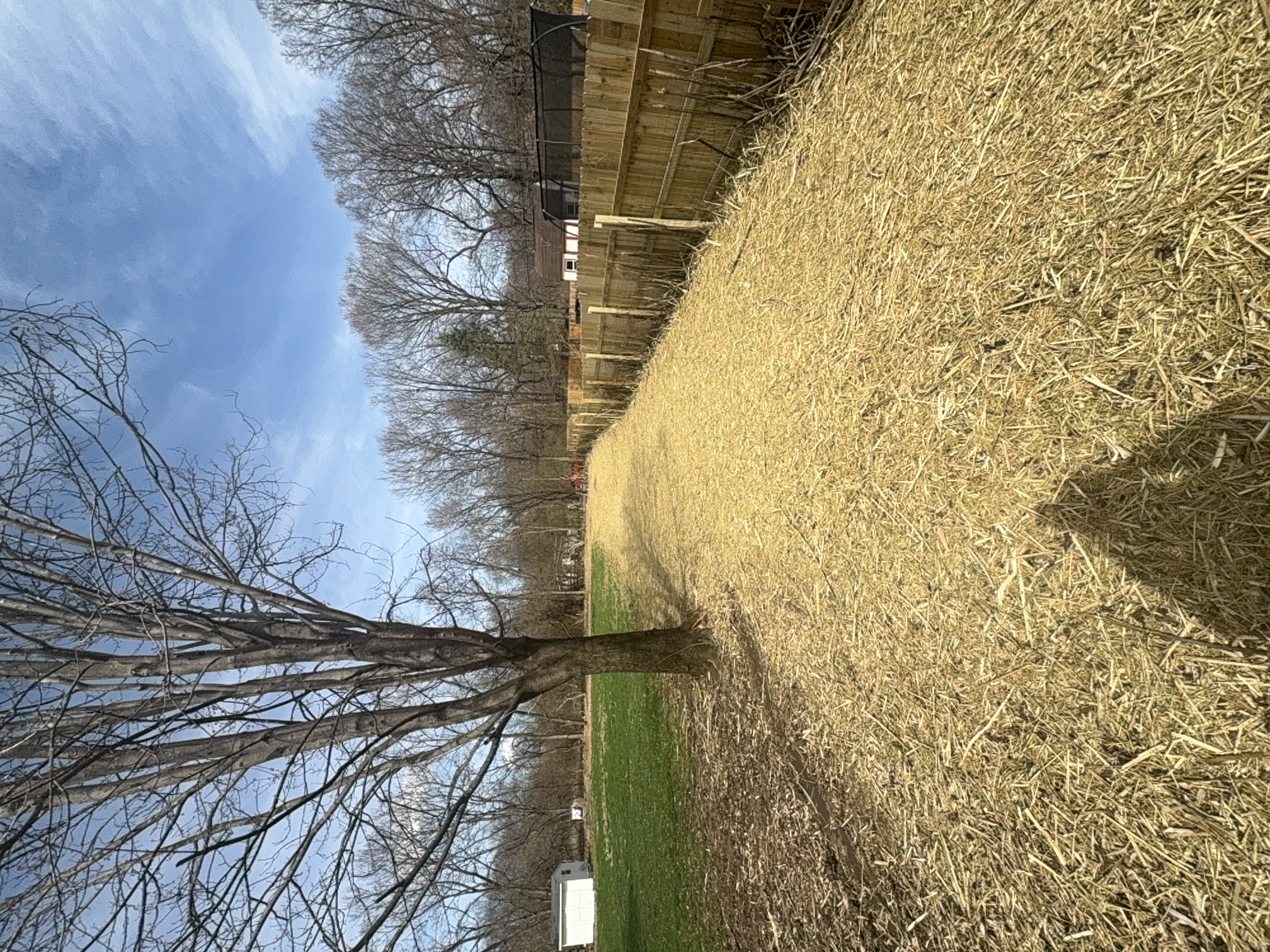 Property Reclaim after clearing by Brushworks