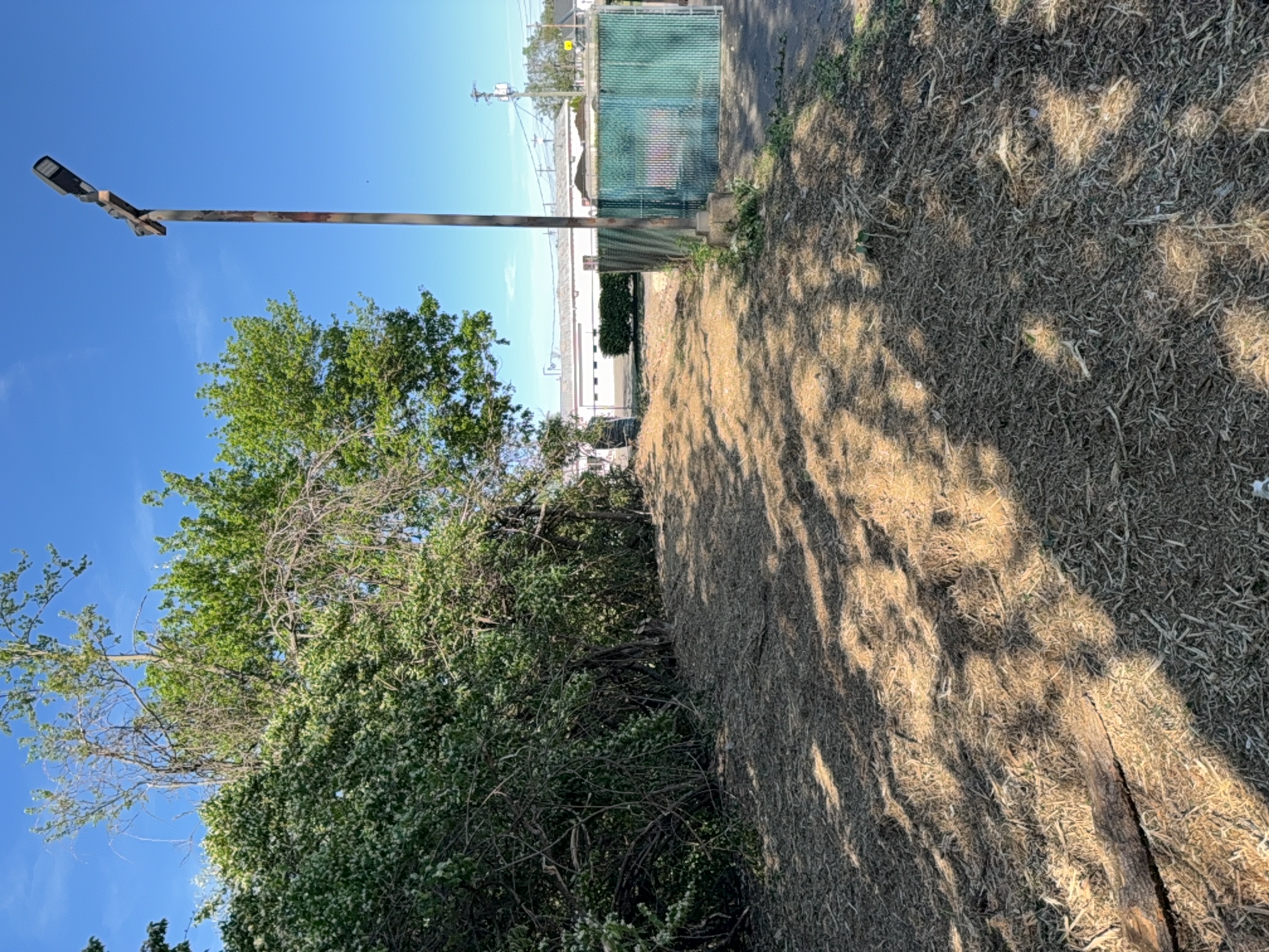 Remote Mulching Project after clearing by Brushworks