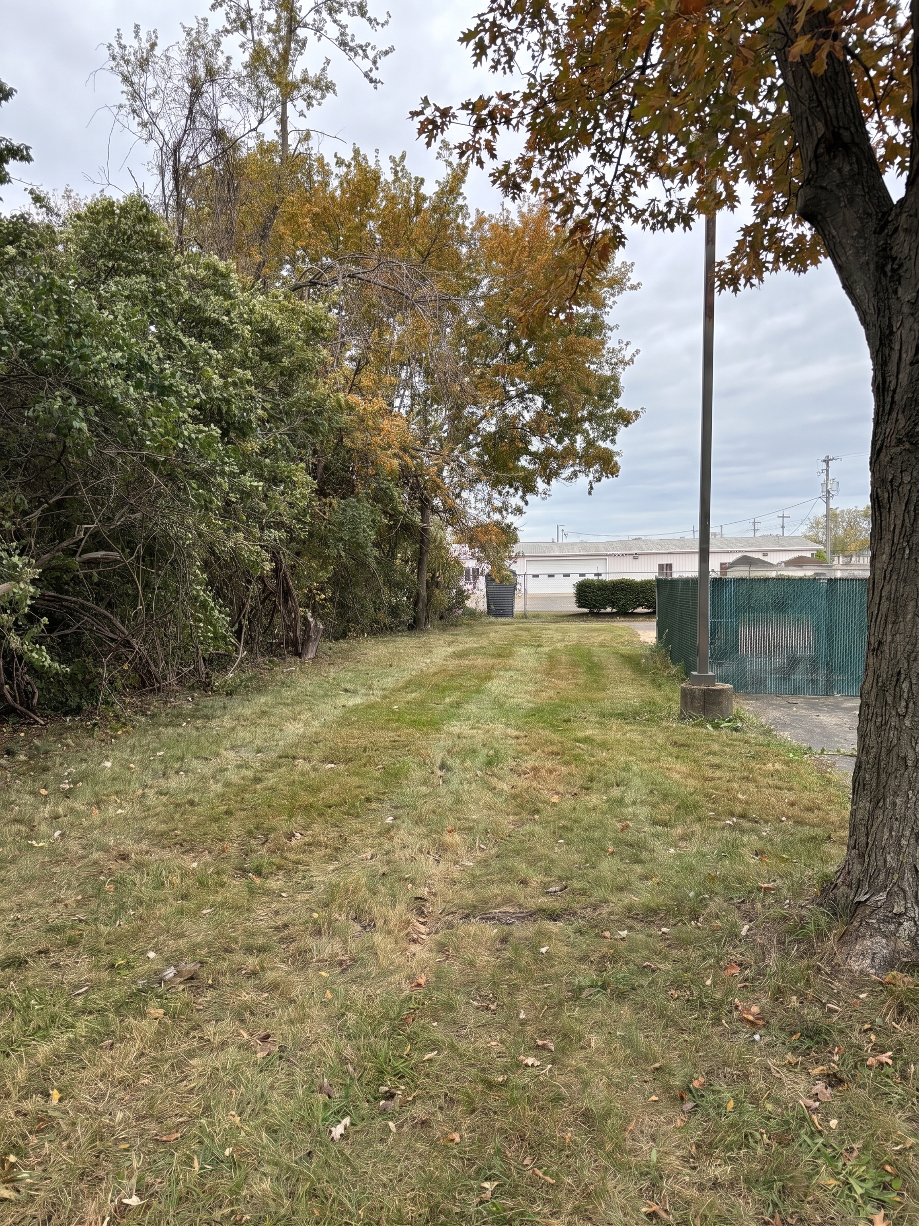 Remote Mulching Project maintained by Brushworks