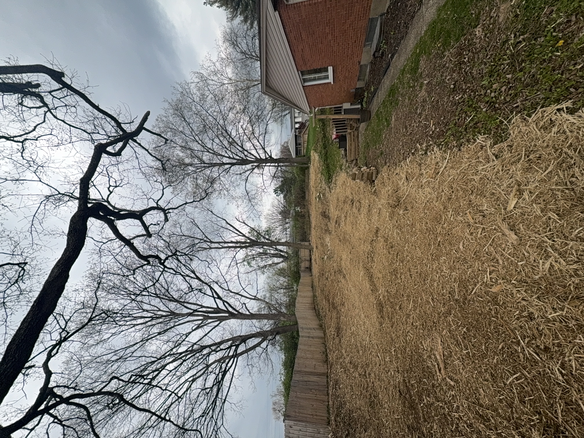 RCU Forestry Mulching after clearing by Brushworks