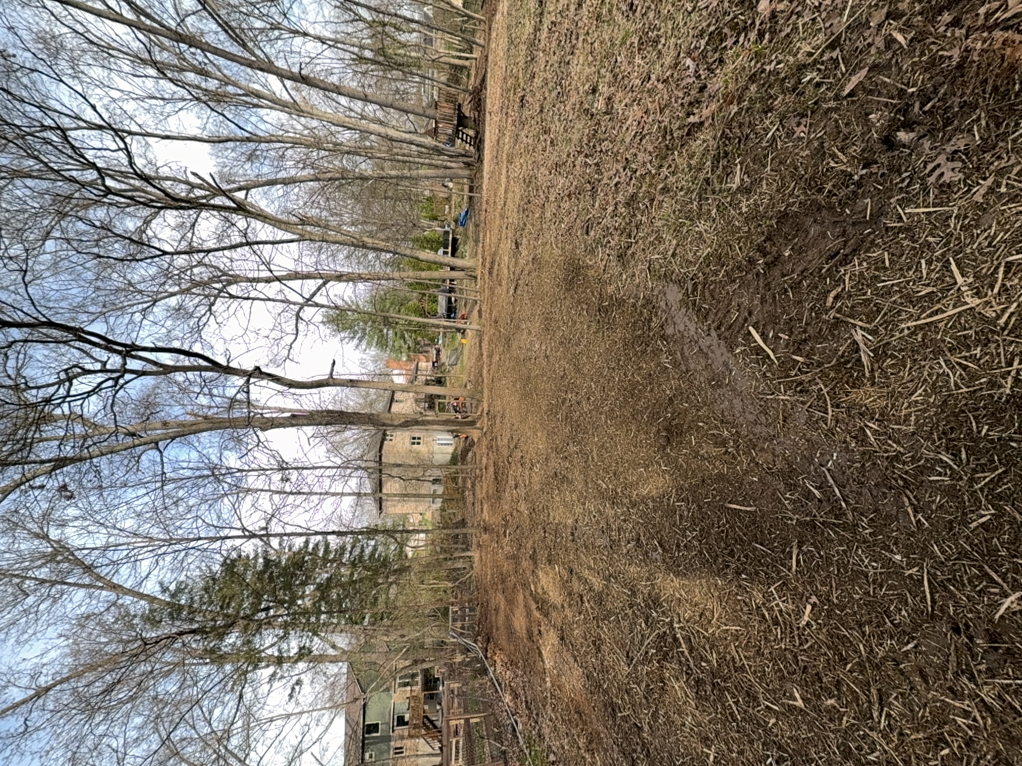 Forestry Mulching after clearing by Brushworks