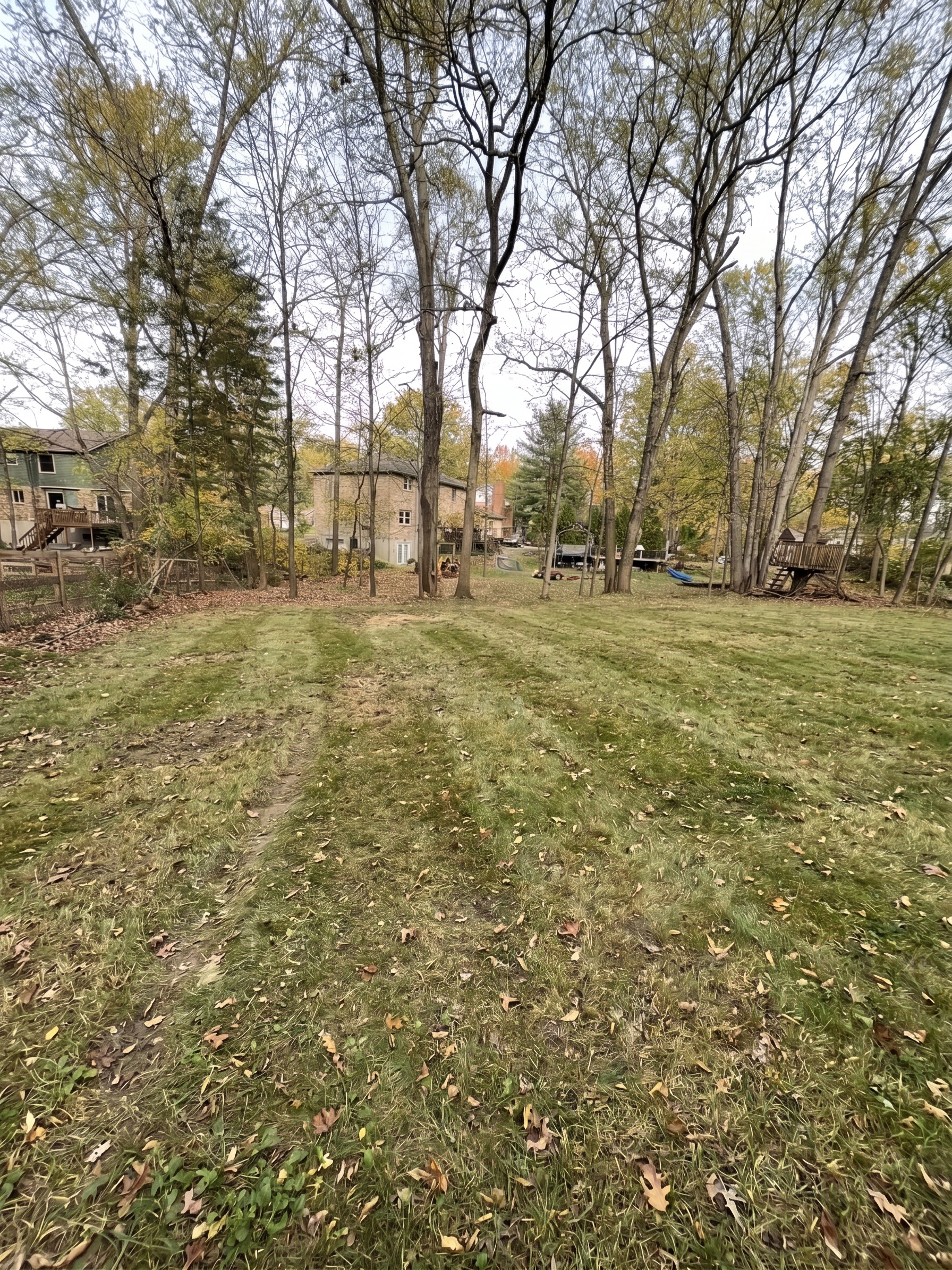 Forestry Mulching maintained by Brushworks