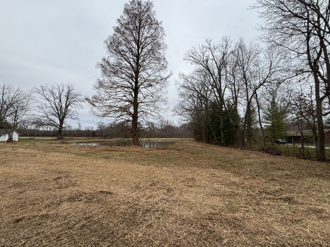 Pond & Treeline Clearing after clearing by Brushworks