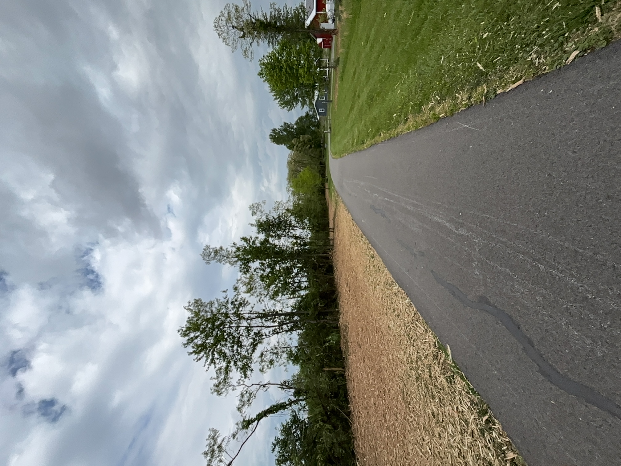 Land Clearing Cleanup after clearing by Brushworks