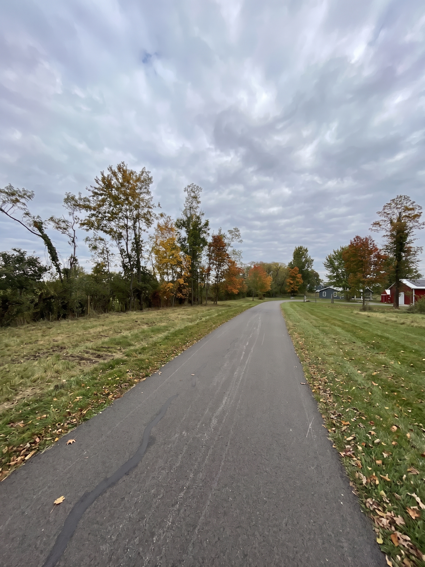 Land Clearing Cleanup maintained by Brushworks