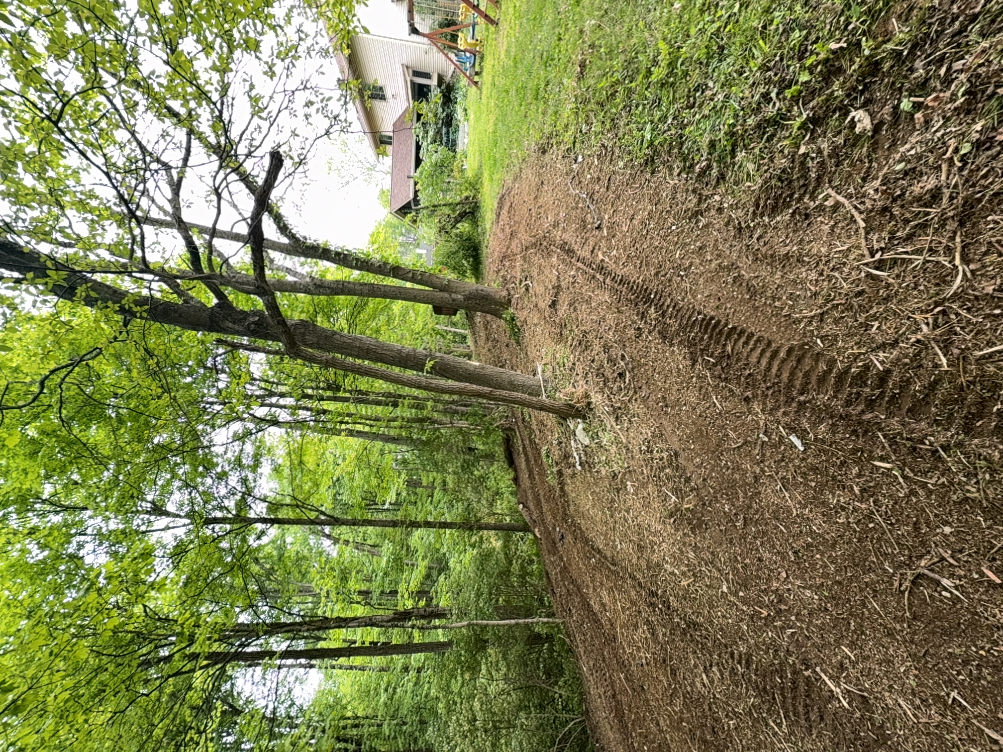 Hillside Mulching after clearing by Brushworks