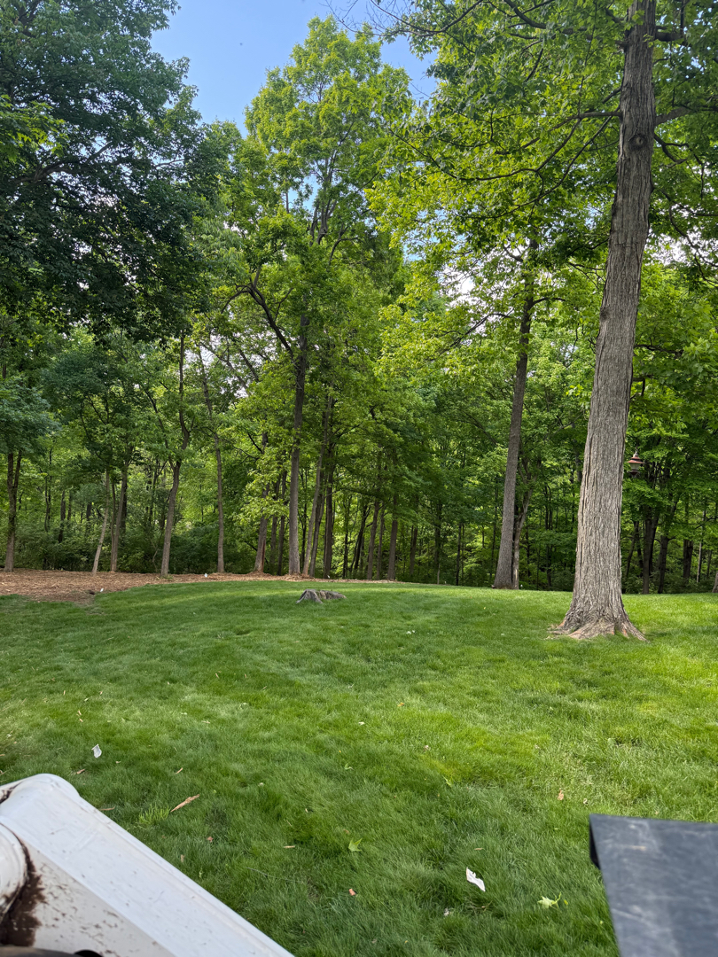 Forestry Mulching after clearing by Brushworks