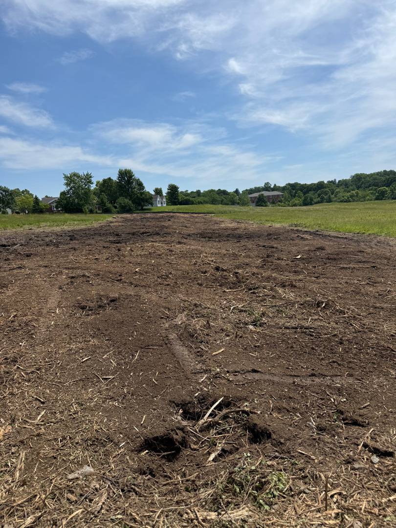 Forestry Mulching after clearing by Brushworks