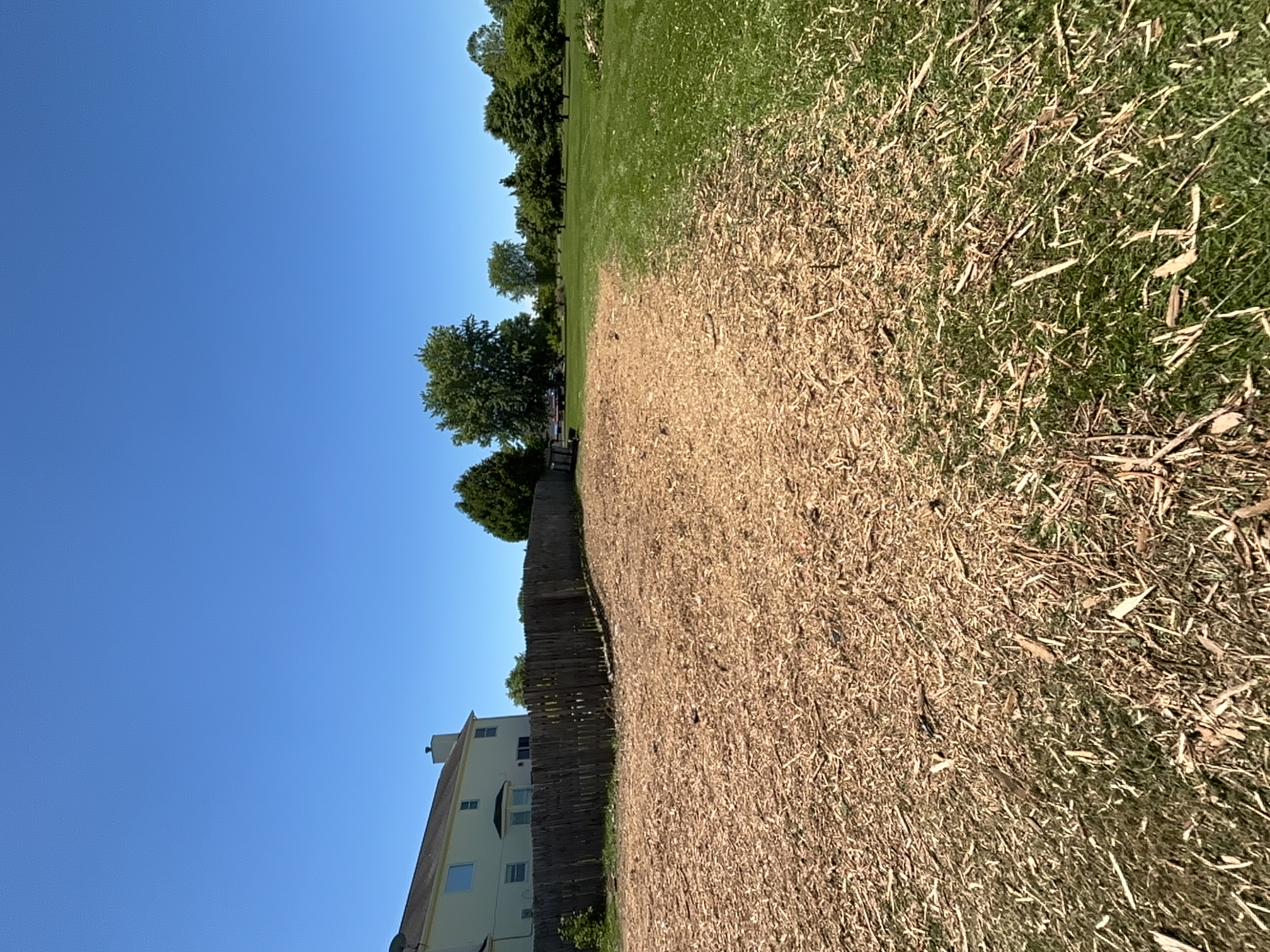 Back Yard Cleanup after clearing by Brushworks