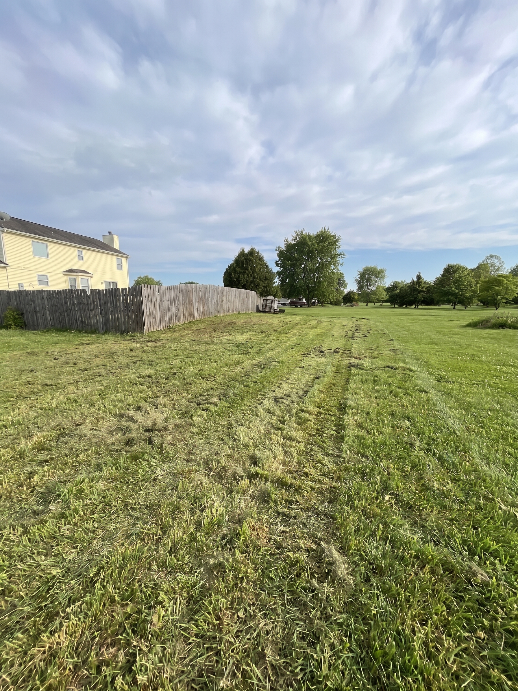 Back Yard Cleanup maintained by Brushworks