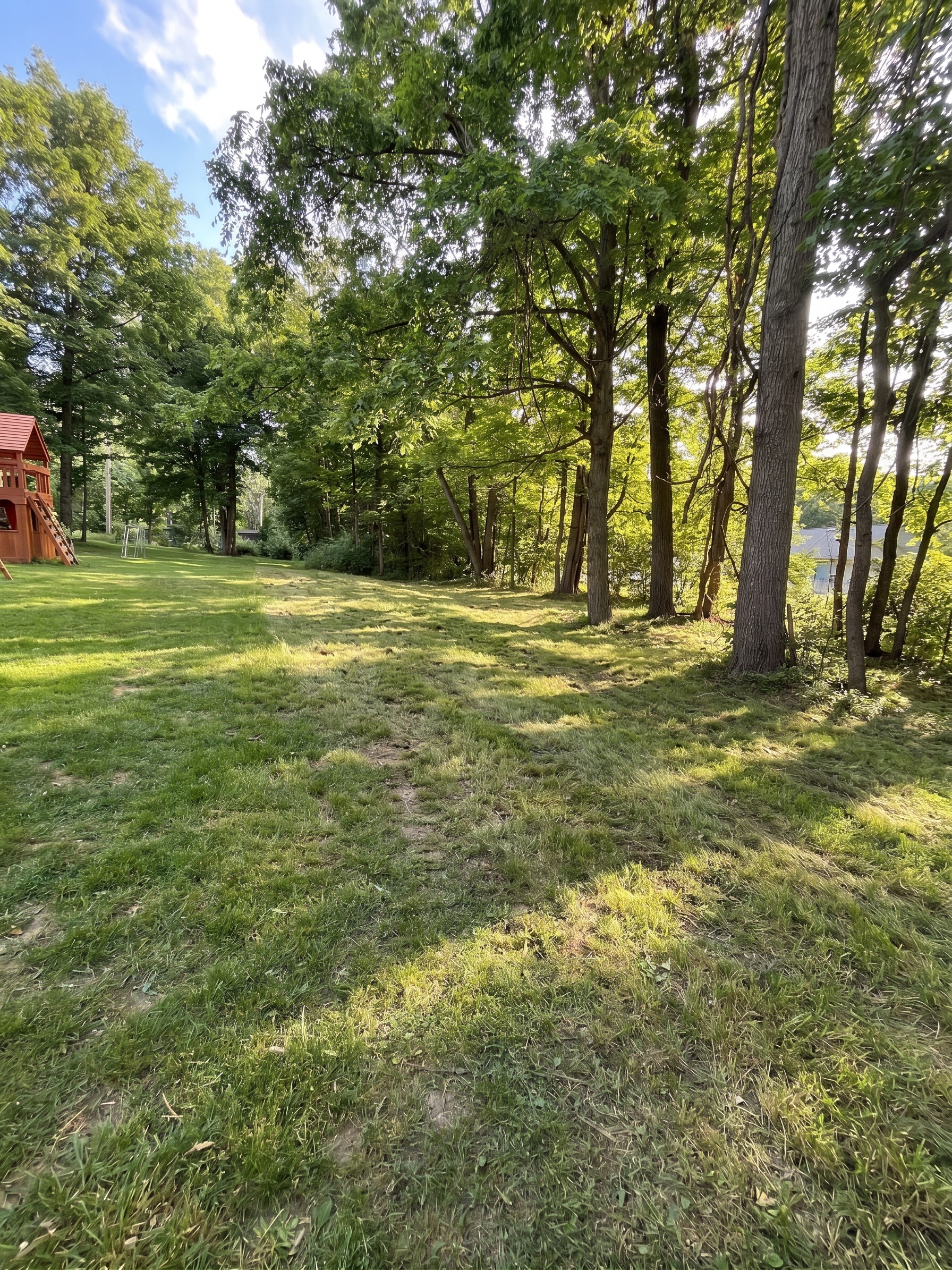 Forestry Mulching maintained by Brushworks
