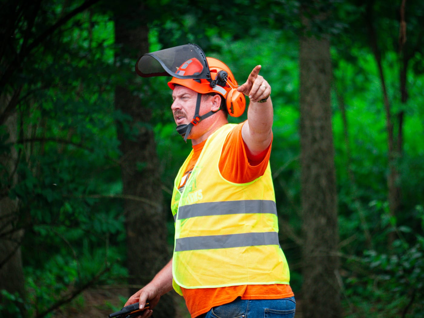 Brushworks team member directing field work from the woodline