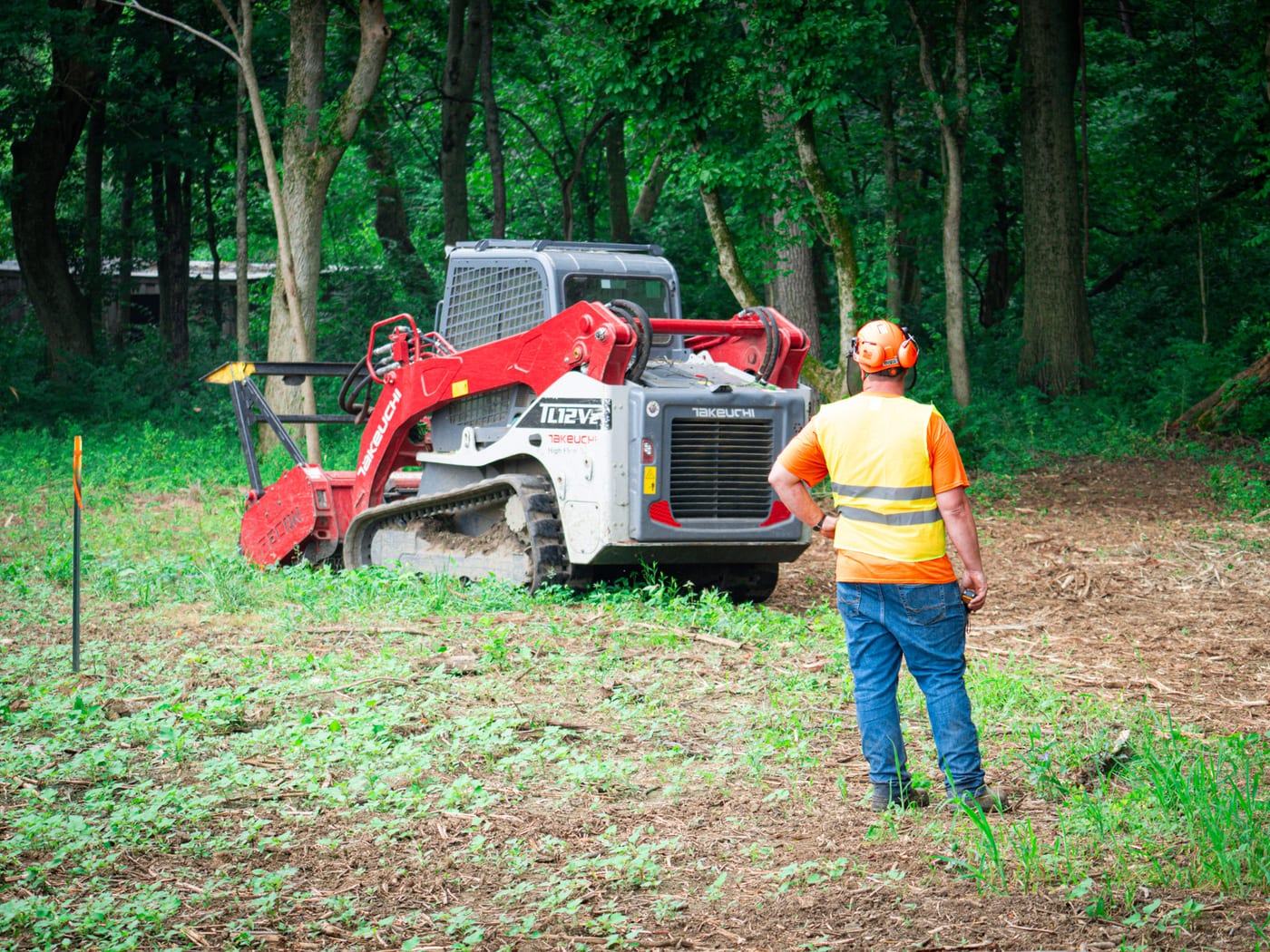 Brushworks team member reviewing a wooded clearing area during the job