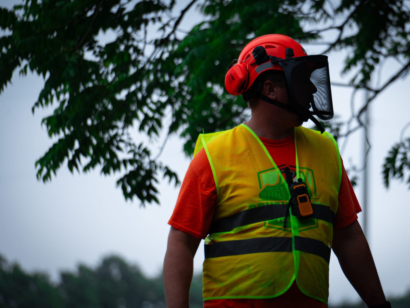 Brushworks crew member in safety gear working near the clearing area